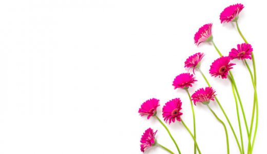 新米ママに教わるブラジルの出産＆子育て事情