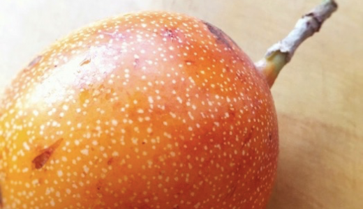 南米原産パッションフルーツ！granadilla（グラナディーヤ）の味と食べ方