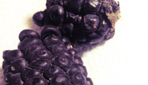 【スーパーフード】紫トウモロコシ！パープル・コーン