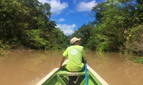 【ジャングル旅１】アマゾン川近くの超ローカルな集落に宿泊
