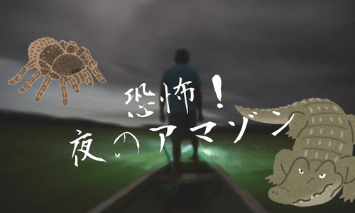 【ジャングル旅４】恐怖！夜のアマゾンで野生のタランチュラやカイマンワニ！